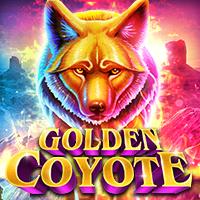 Golden Coyote